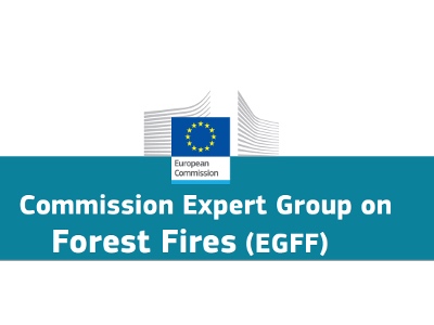 39th Meeting of the Commission Expert Group on Forest Fires (EGFF)